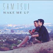 Wake Me Up (Acoustic Version)专辑