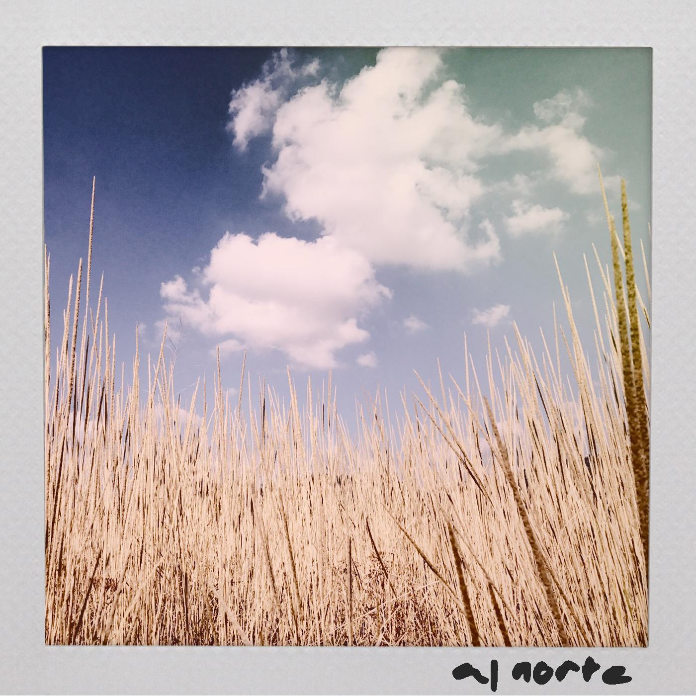 Al Norte