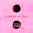 Shape Of You (Terry Zhong Remix)