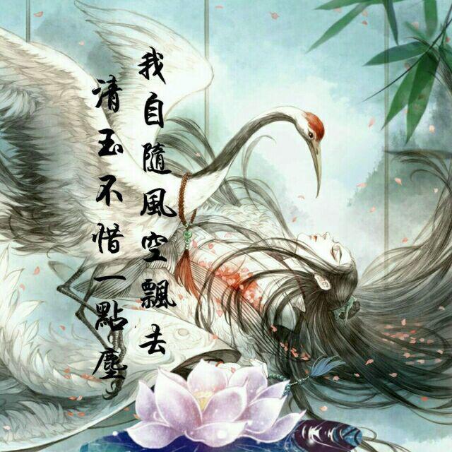 琴师专辑