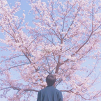 专辑《花之舞》