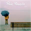 #Singing in the Rain! A Gentle, Calming Pitter Patter of Raindrops专辑