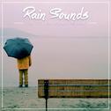 #Singing in the Rain! A Gentle, Calming Pitter Patter of Raindrops专辑