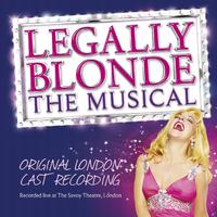 Legally Blonde remix - From the Musical Legally Blonde (PT Instrumental) 无和声伴奏