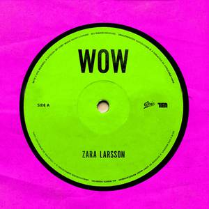 Wow (Remix) - Zara Larsson & Sabrina Carpenter (VS Instrumental) 无和声伴奏