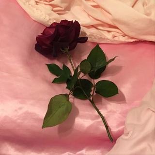 纯情小主播的BGM