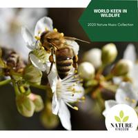 World Keen In Wildlife - 2020 Nature Music Collection
