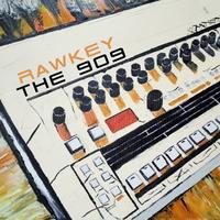 Rawkey - The 909 (Original Mix) 127