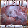 The Wampthing - Destructo (feat. JxKxm & Bushpig)