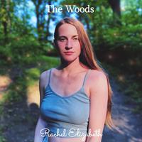 Out of the Woods - Taylor Swift (unofficial Instrumental)