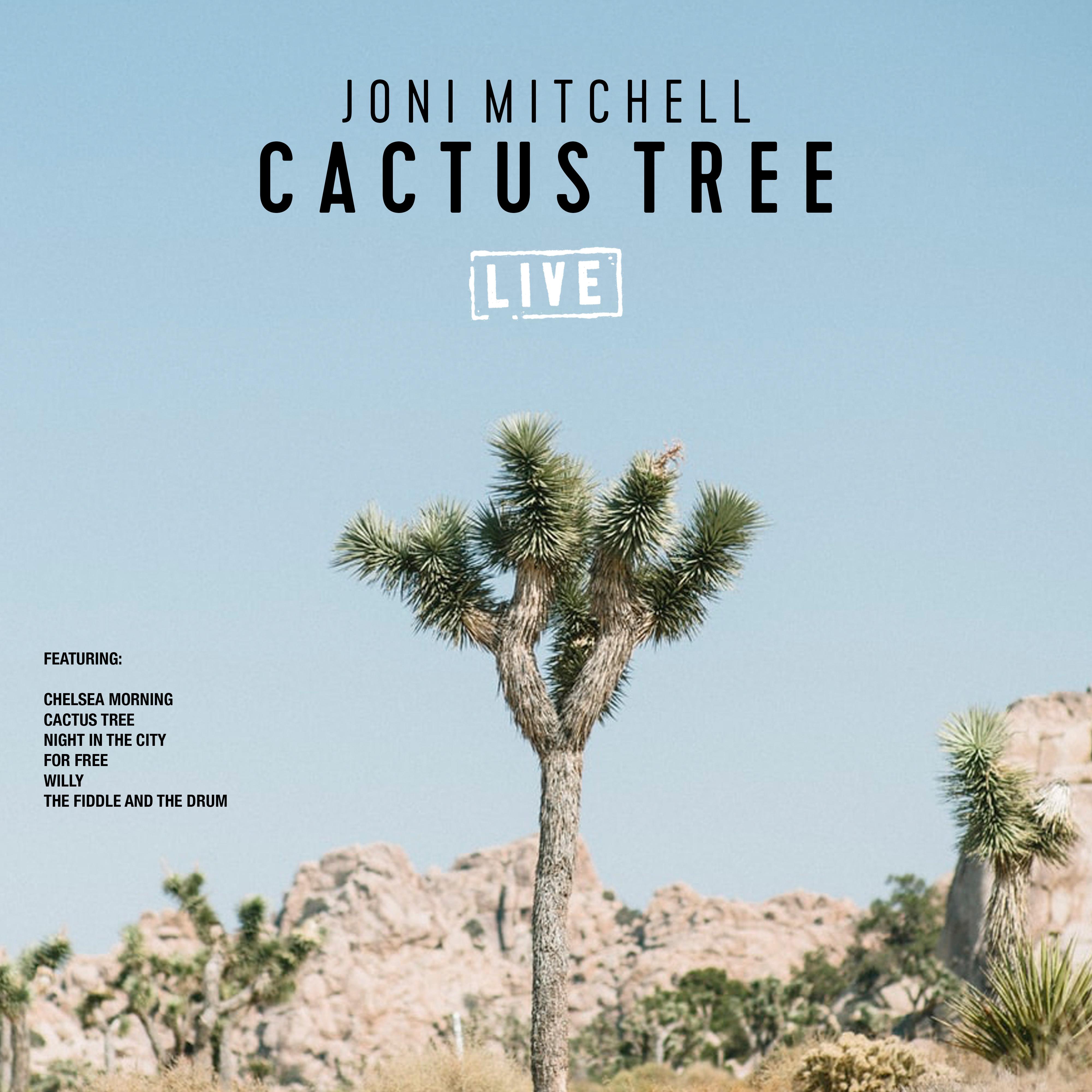 Cactus Tree (Live)