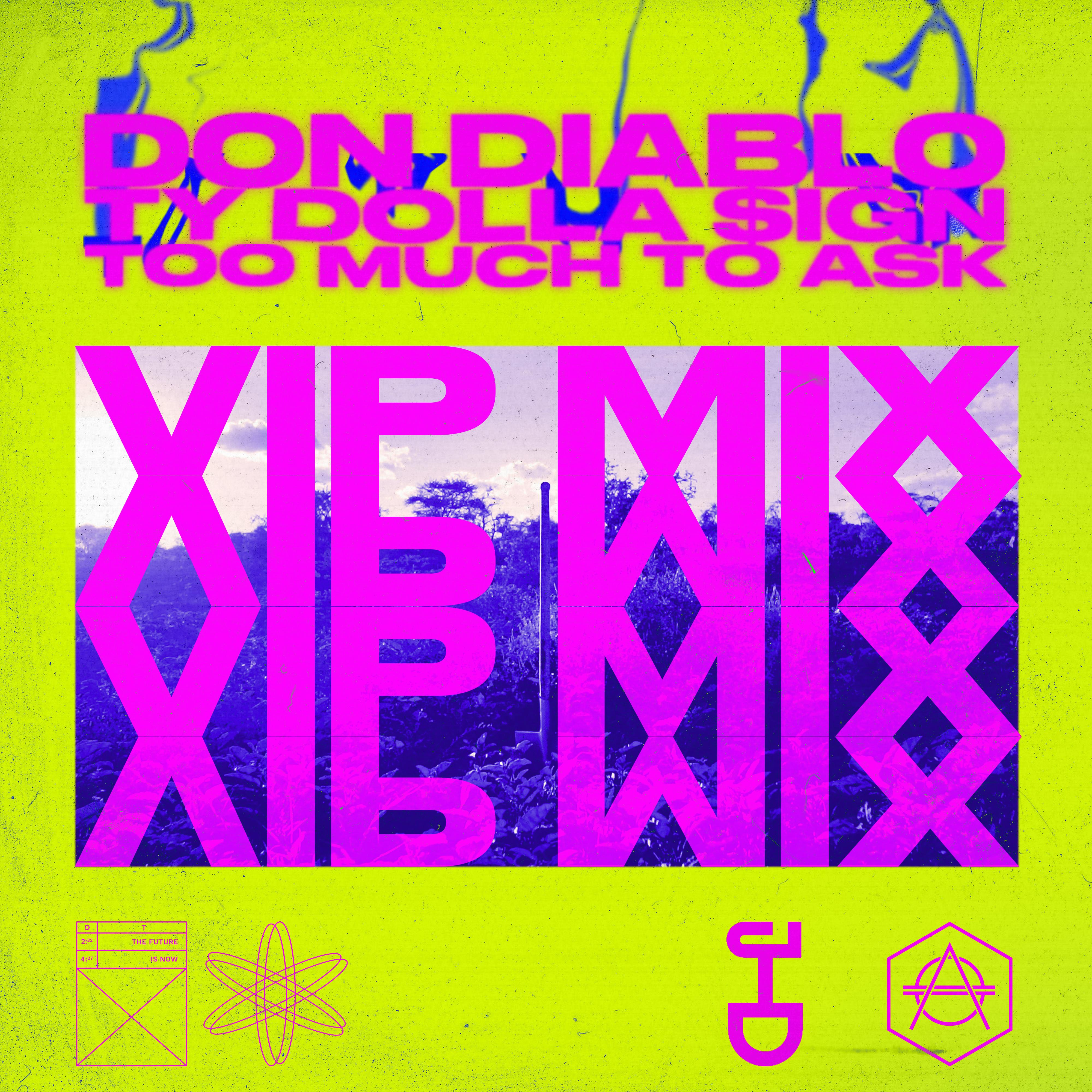 Too Much To Ask (VIP Mix)