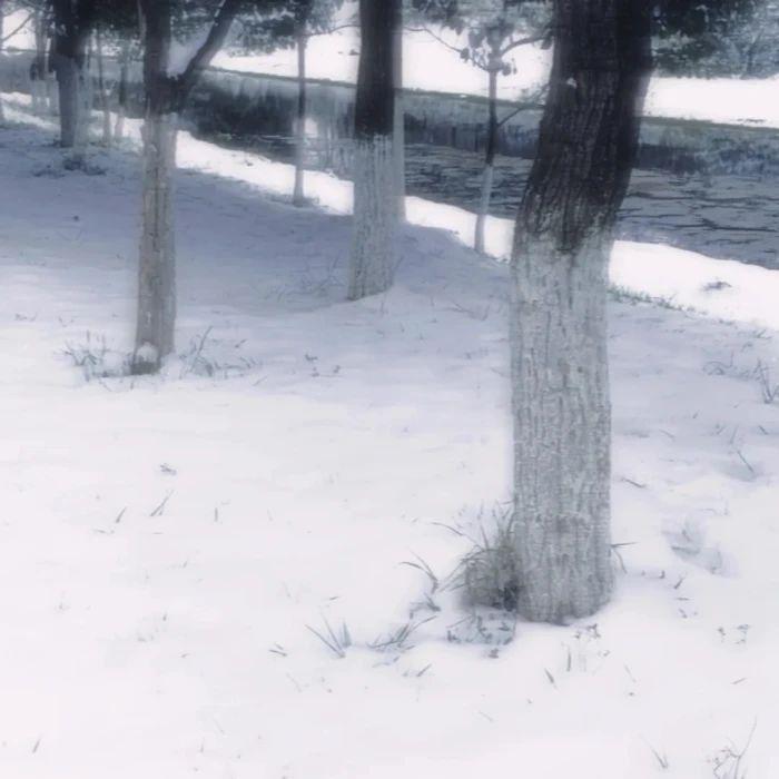 ꒰⸝⸝› ༝ ‹⸝⸝꒱专辑