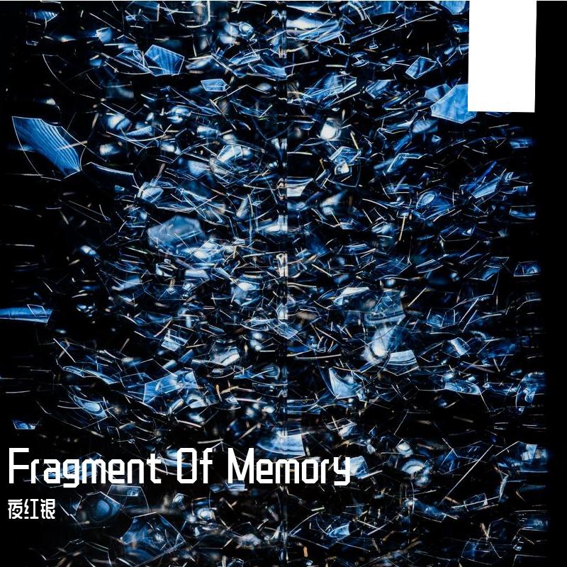 Fragment Of Memory