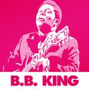 37 Essential Blues Classics By B.B. King专辑