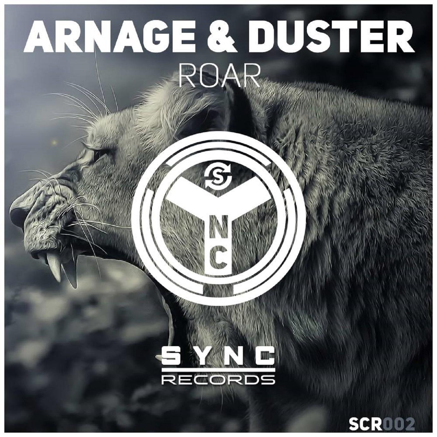 Roar (Original Mix)