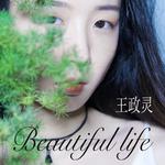 Beautiful Life专辑