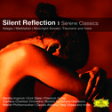 Mirror of Silence - Tranquil Classics专辑