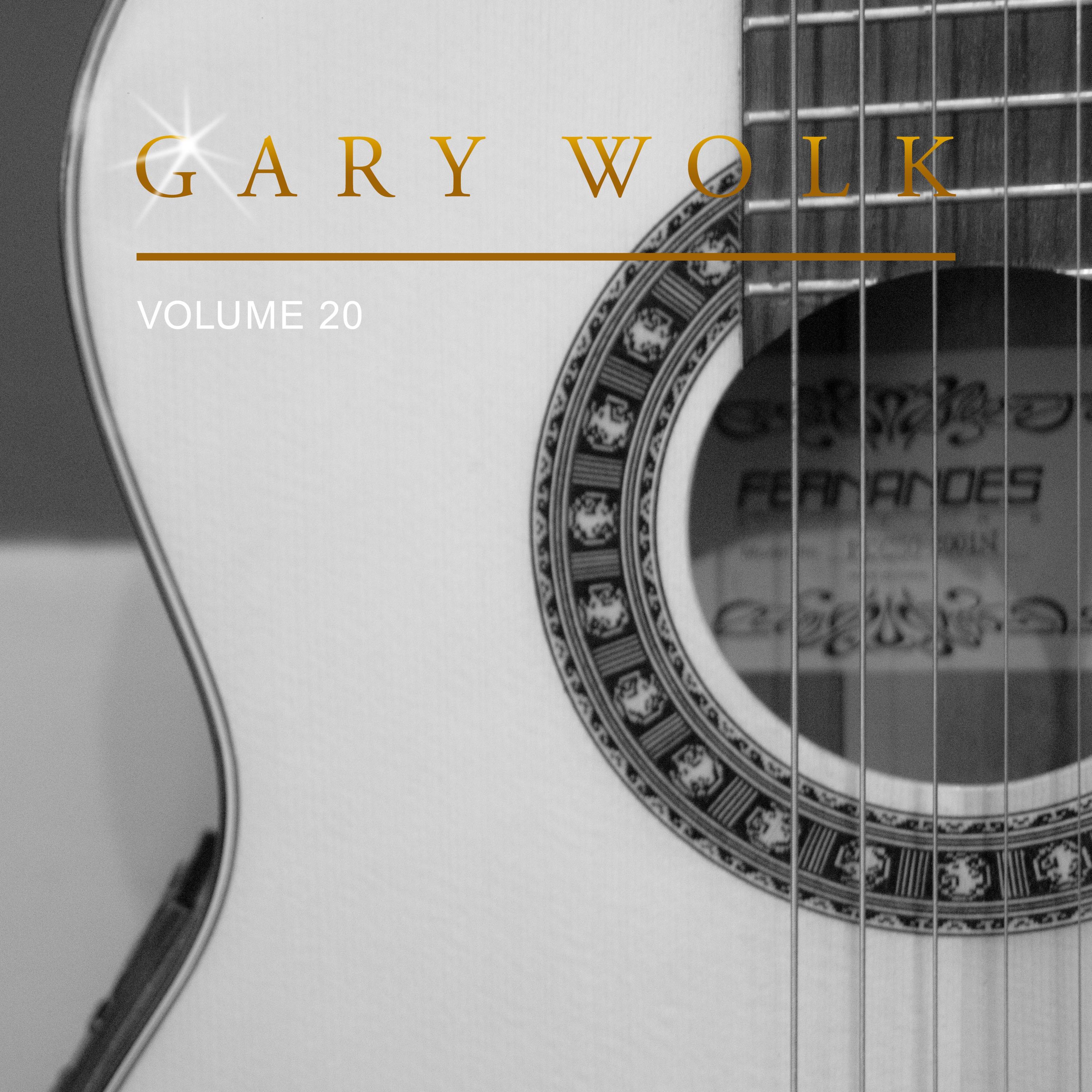 Gary Wolk, Vol. 20