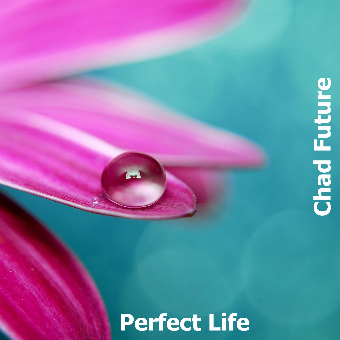 Perfect Life