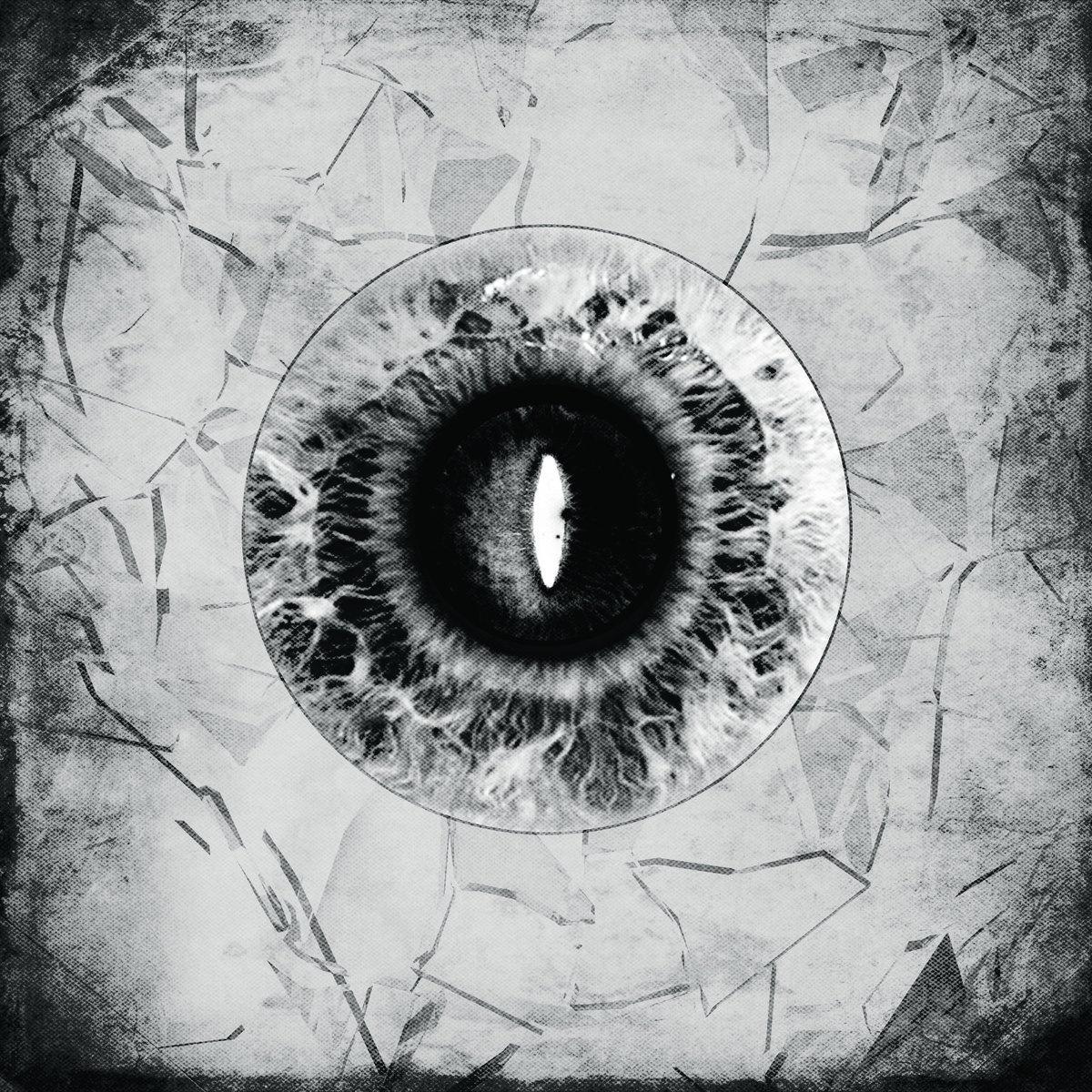 Illusive Landscape Of Expression