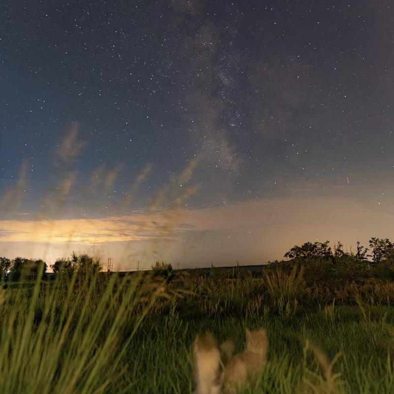 绝版的昨天 (1.2x)