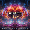 Organic Soup - Brain Chemicals