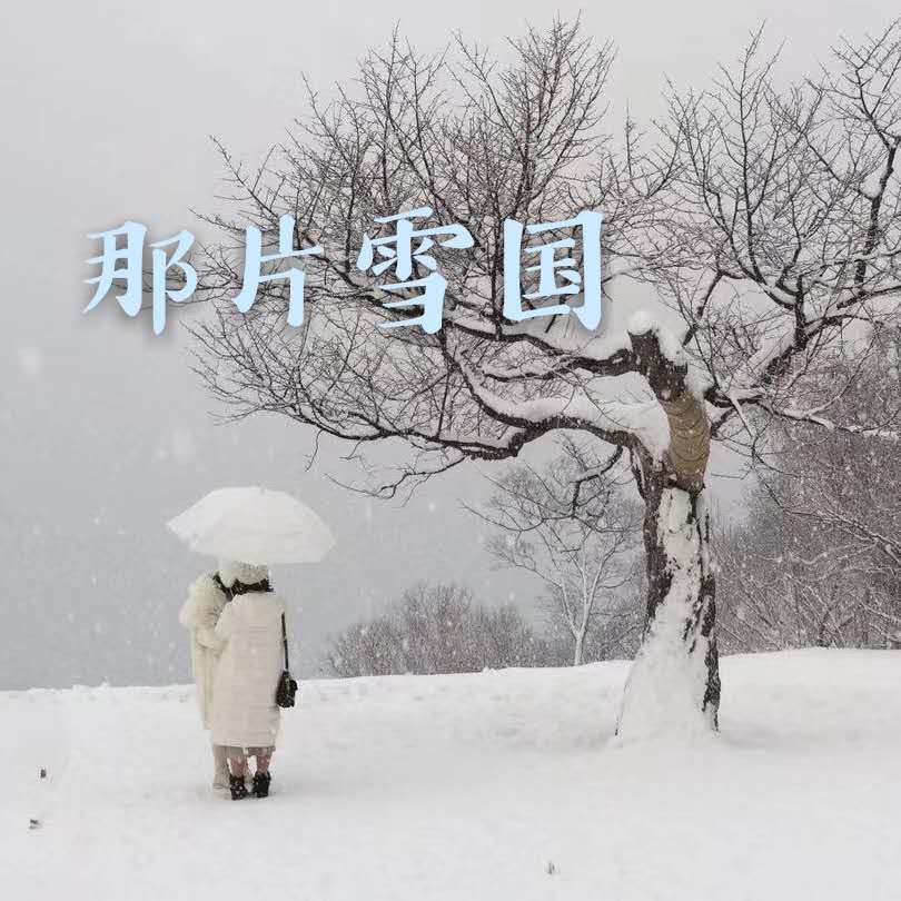 那片雪国专辑