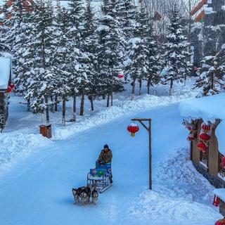 冬至大如年：再听葡萄成熟时，长歌暖深冬