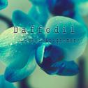 Daffodil专辑