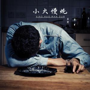 辛雯 - 小火慢炖 （降2半音）