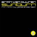 Sunburn (Walk Through The Fire) (Remixes)专辑