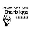 Power King*2018专辑