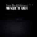 From The Wilderness/Through The Future