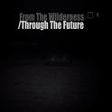 From The Wilderness/Through The Future专辑