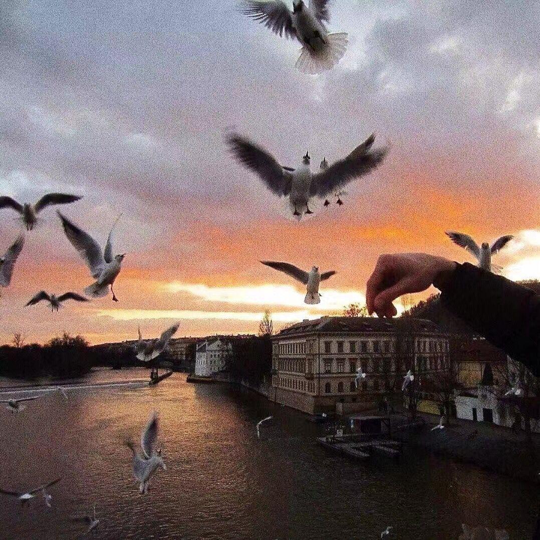 To You Mom-To You（黎轩 remix）