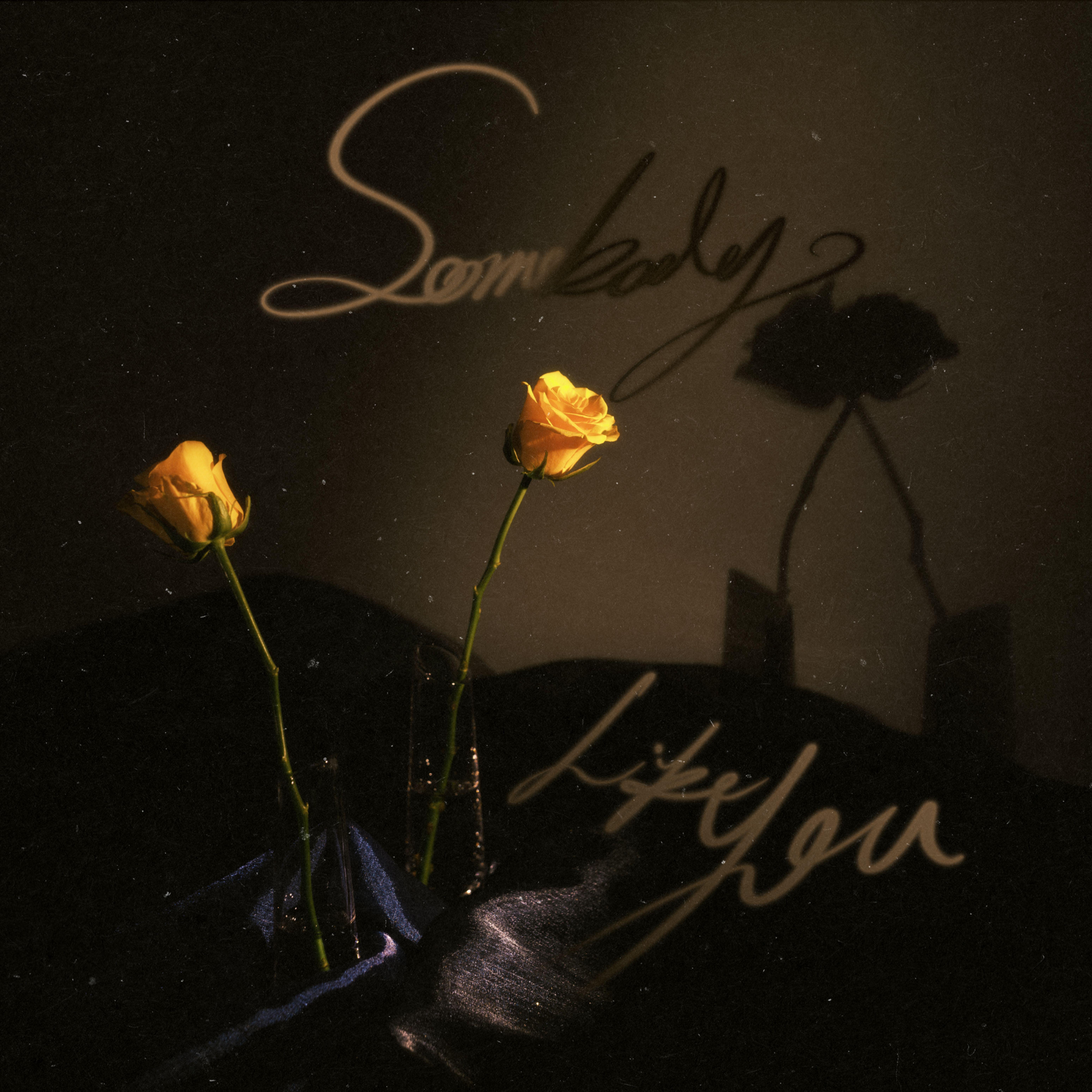Somebody Like You