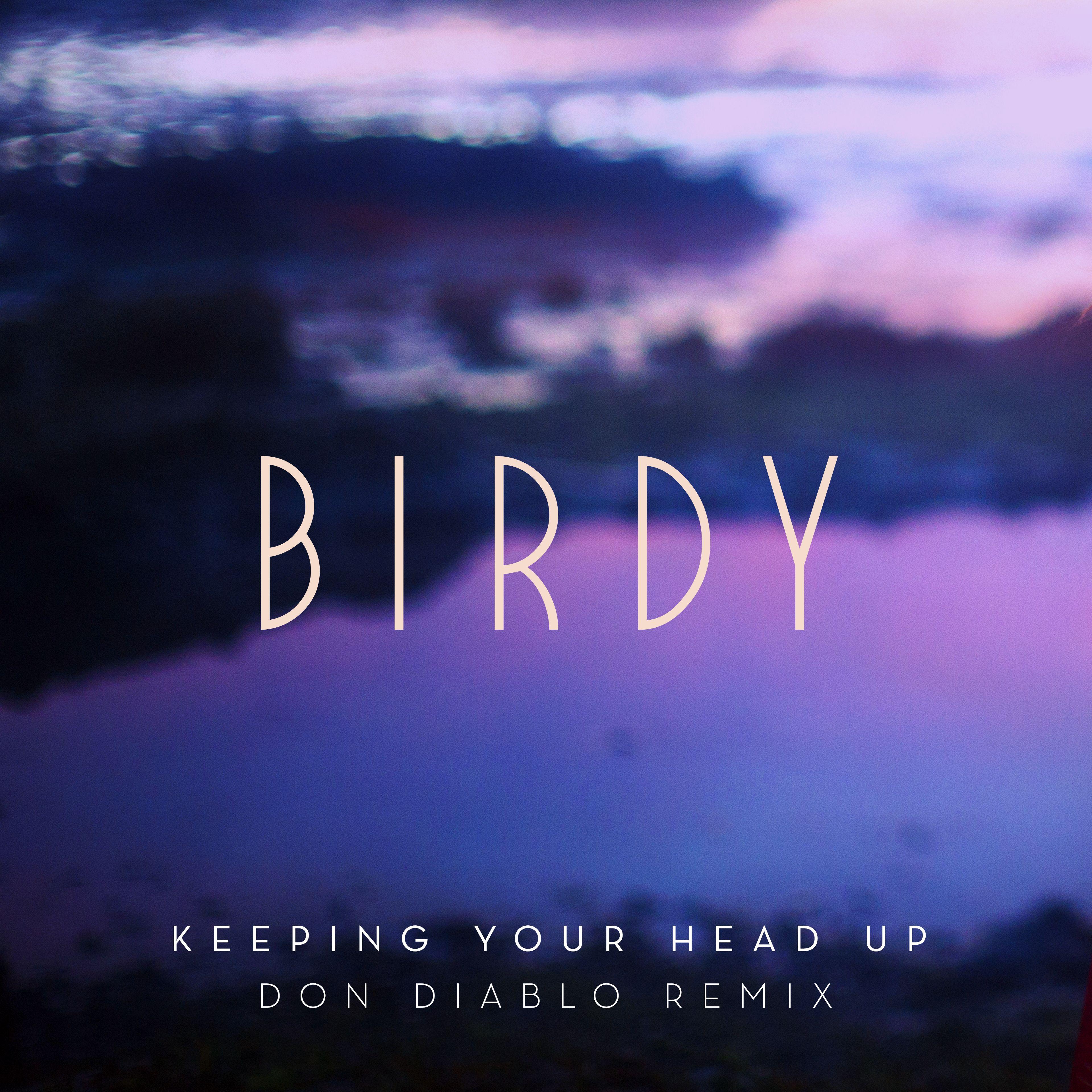 Keeping Your Head Up (Don Diablo Remix) [Extended]