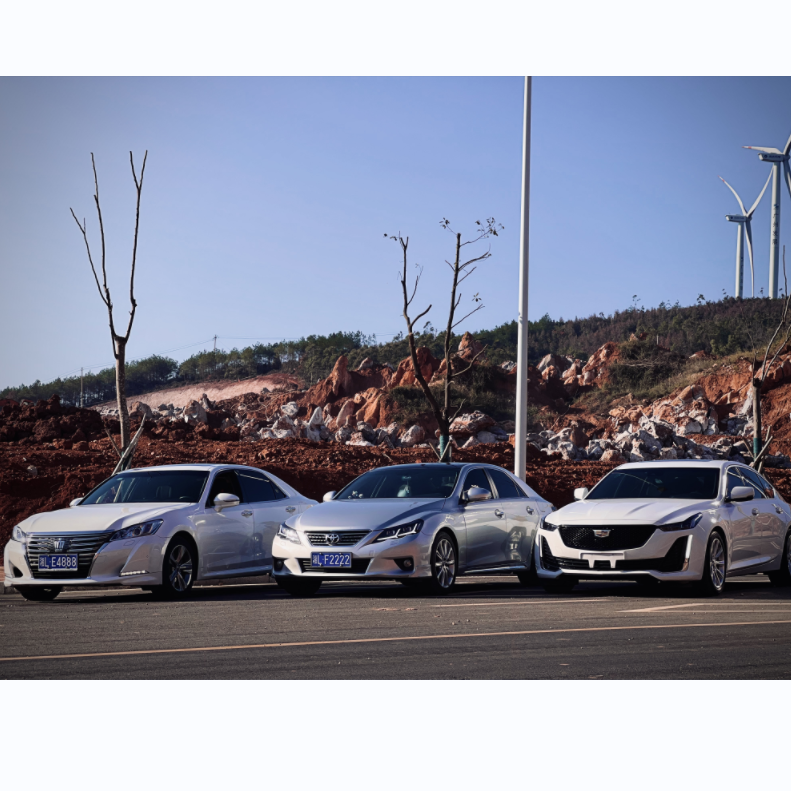 2k24哈根达斯V-House Mix