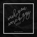 Wish You Were Gay