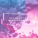 22 Relaxation Sounds to Invigorate Body and Soul专辑