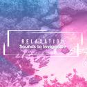 22 Relaxation Sounds to Invigorate Body and Soul专辑