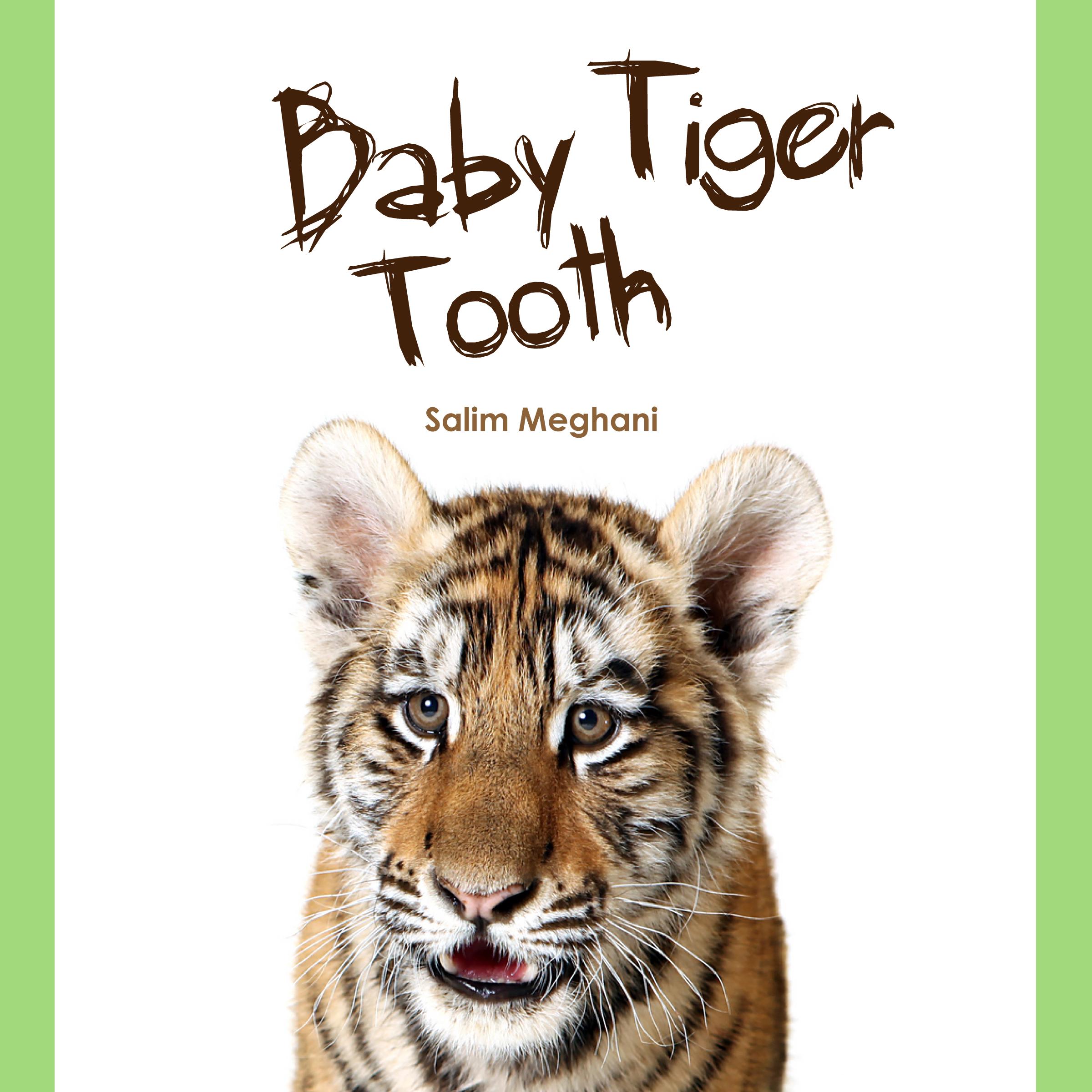 Baby Tiger Tooth
