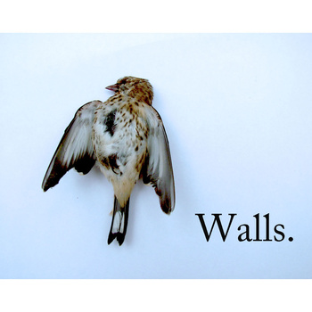 Walls