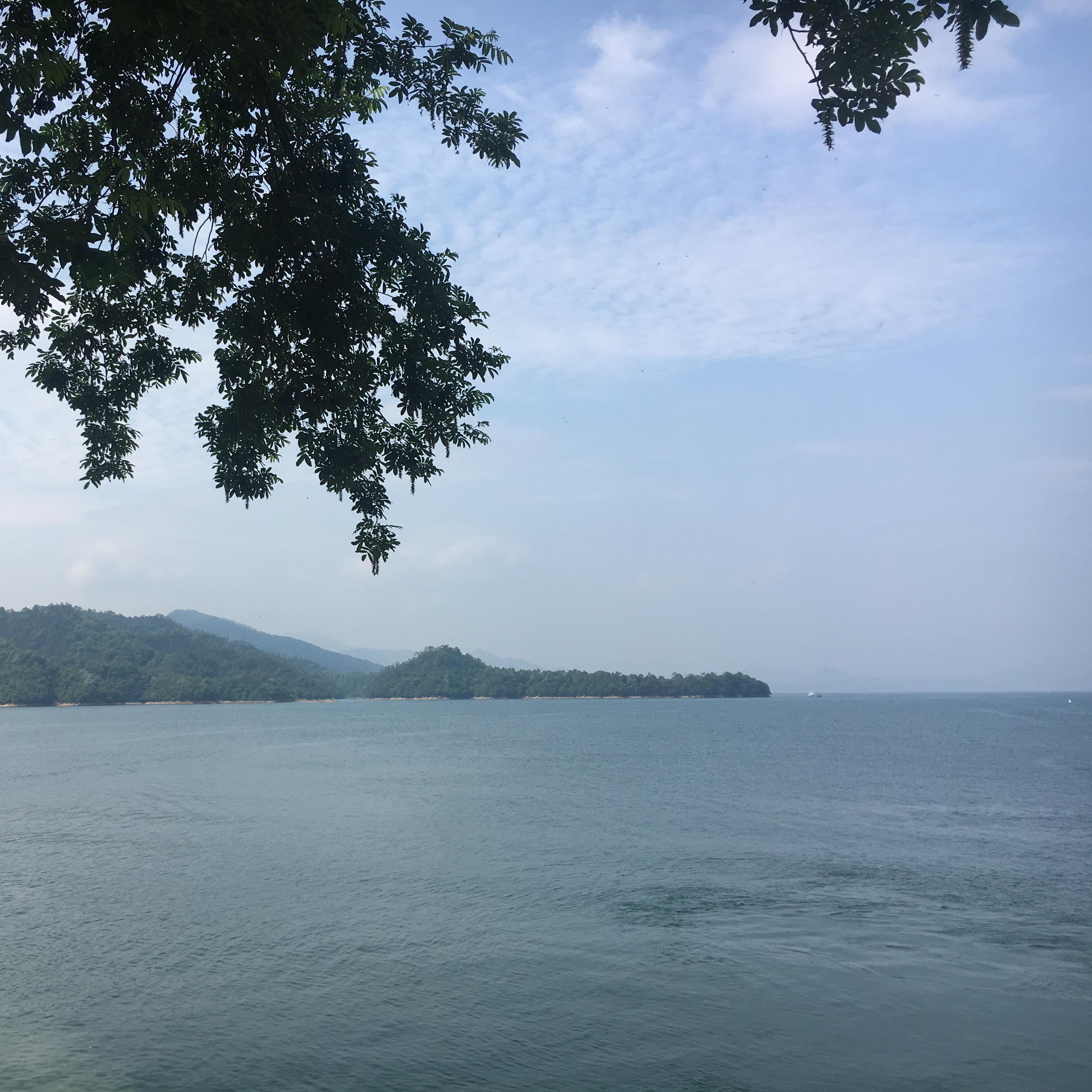 后来大合唱（翻自 群星）