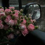 你像一场大雨专辑