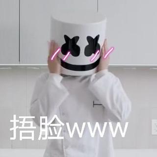 Marshmello的声音♡♥(。´▽`。)♥♡