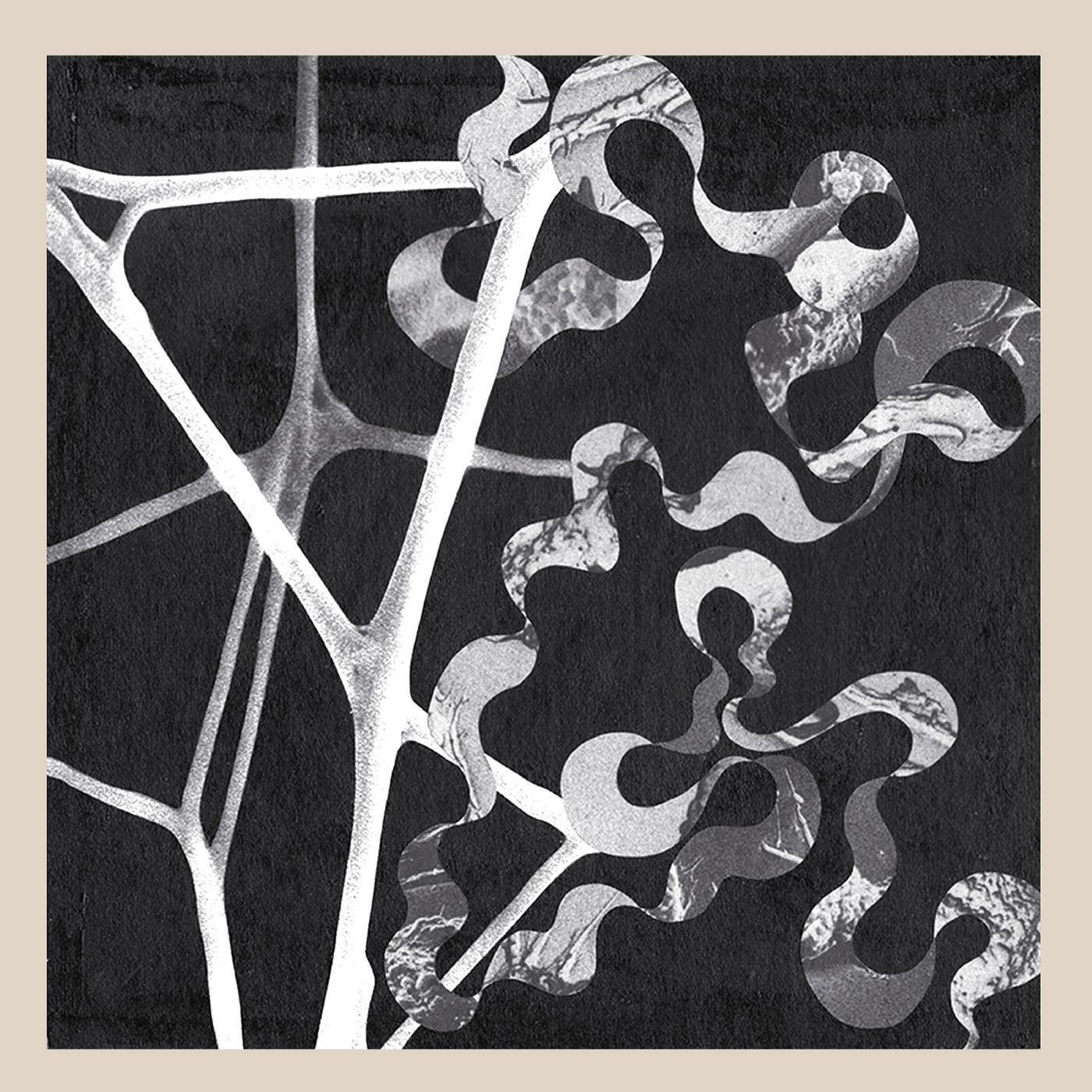 All The Junk On The Outskirts