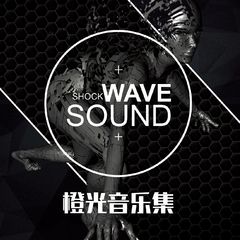 橙光音乐集·SHOCKWAVESOUND篇5