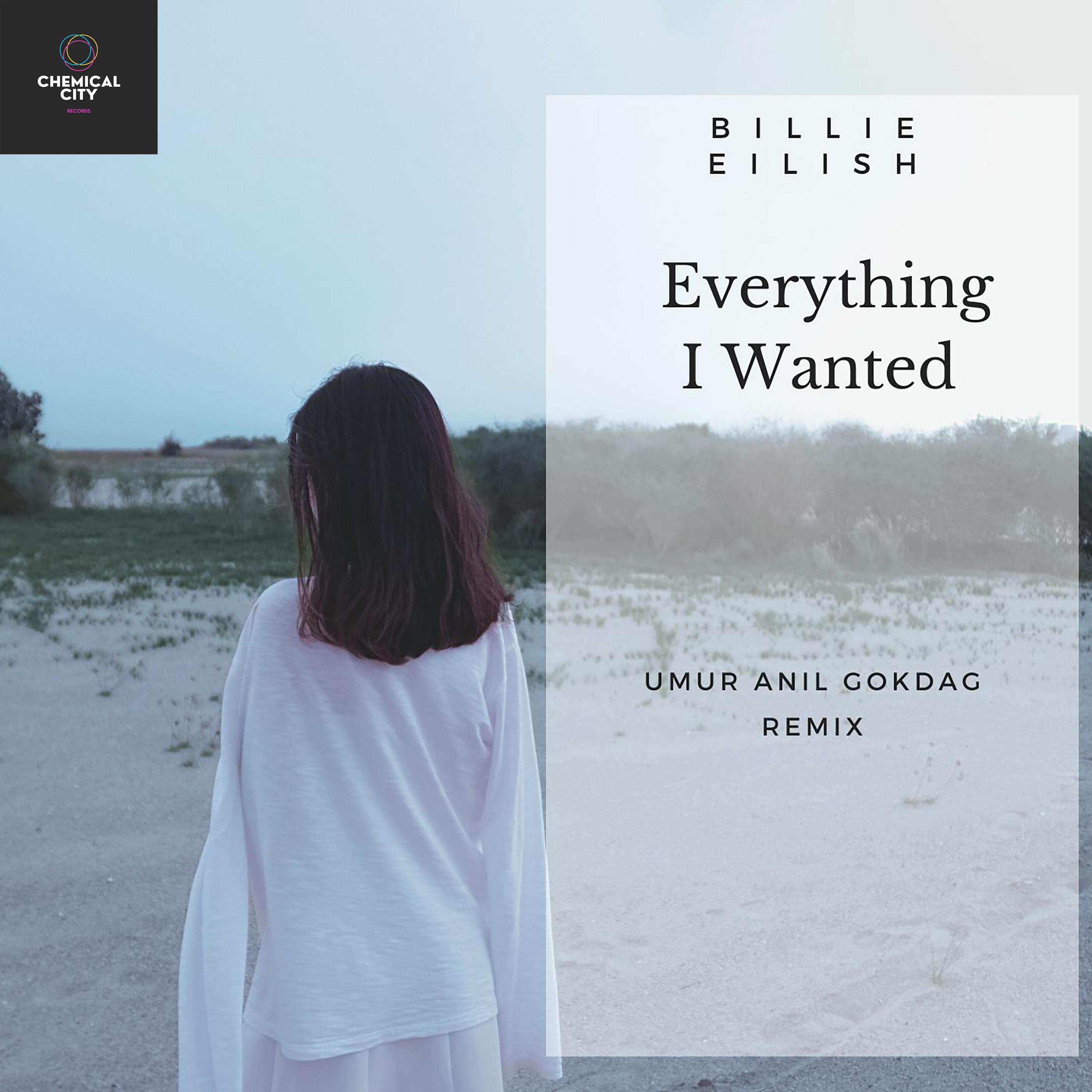 Everything I Wanted (Umur Anil Gokdag Remix)